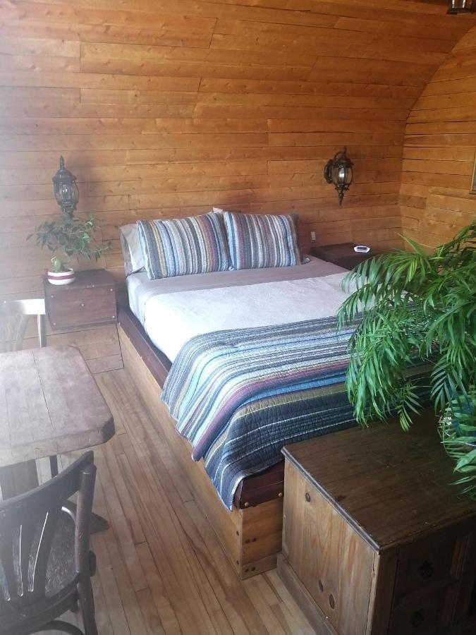 L'Oasis Du Pirate Bed and Breakfast Lévis Eksteriør billede